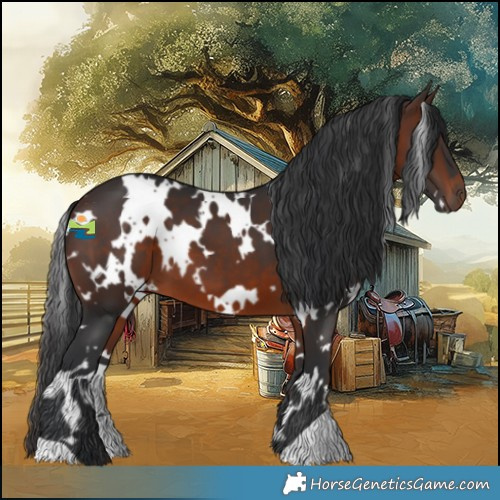 Horse Color:White Spotted Brown