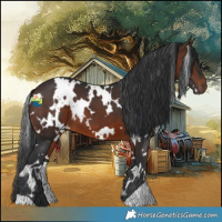 Horse Color:White Spotted Brown 