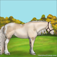 Horse Color:Chocolate Palomino Pearl Tobiano Frame  and Gold Cream Champagne Pearl Tobiano Frame 