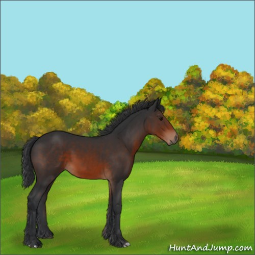 Horse Color:Brown 