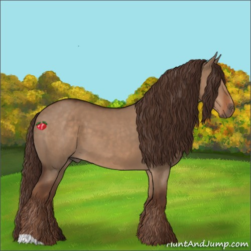 Horse Color:Liver Red Dun 