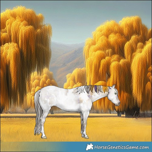 Horse Color:Plaid  White Spotted Liver Red Dun Rabicano 