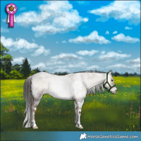 Horse Color:White Spotted Liver Red Dun Roan Onyx 