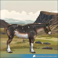 Horse Color:White Spotted Liver Chestnut Tobiano 