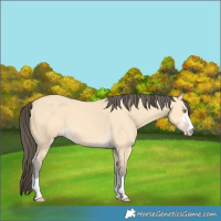 Horse Color:Amber Cream Champagne 
