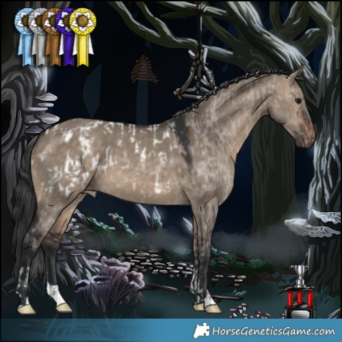Horse Color:Brown Dun Appaloosa  and Brown Dun 