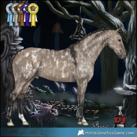 Horse Color:Brown Dun Blanket  and Brown Dun 