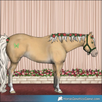 Horse Color:Silver Classic Cream Champagne