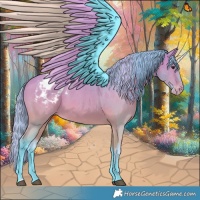 Horse Color:Watercolor Bay Dun Appaloosa 