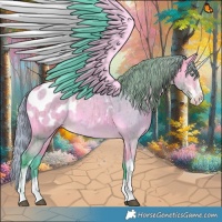 Horse Color:Watercolor Buckskin Dun Sabino Appaloosa Brindle 