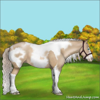 Horse Color:Chocolate Palomino Pearl Tobiano Frame  and Chocolate Palomino Pearl Tobiano Frame 