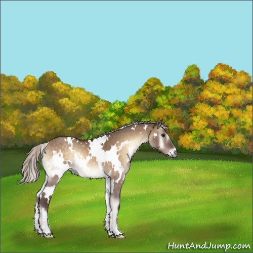Horse Color:White Spotted Silver Brown Onyx 