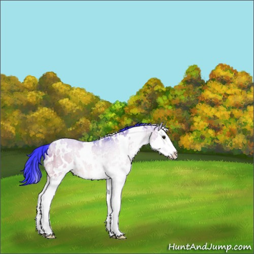 Horse Color:Watercolor White Spotted Brown Ice Dun Sabino Splash 