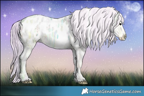 Horse Color:Watercolor White Spotted Silver Grullo Ice Appaloosa Brindle 