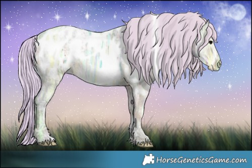 Horse Color:Watercolor White Spotted Silver Grullo Ice Appaloosa Brindle 