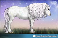 Horse Color:Watercolor White Spotted Silver Grullo Ice Appaloosa Brindle 