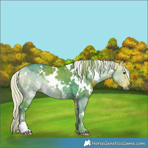 Horse Color:Watercolor White Spotted Silver Buckskin 