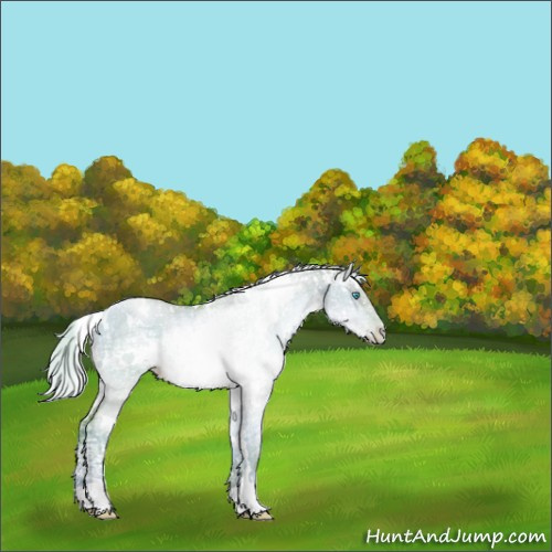 Horse Color:Watercolor White Spotted Silver Smoky Grullo Ice Pearl Rabicano 