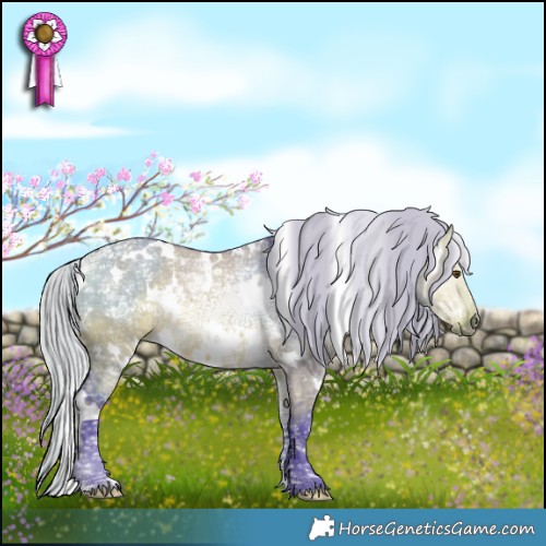 Horse Color:Watercolor White Spotted Silver Buckskin Ice Dun Rabicano 