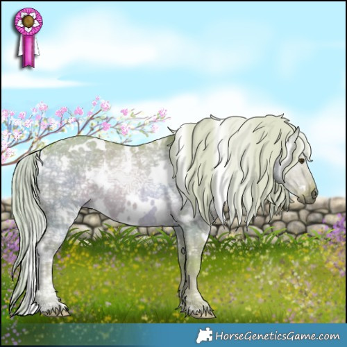 Horse Color:Watercolor White Spotted Palomino Ice Dun Rabicano 