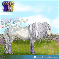 Horse Color:Watercolor White Spotted Silver Buckskin Ice Dun Rabicano