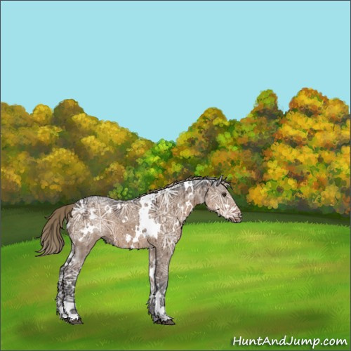 Horse Color:White Spotted Liver Red Dun Ice Brindle 