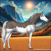 Horse Color:Silver Black Splash 