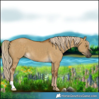 Horse Color:Chocolate Palomino Dun 