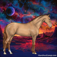Horse Color:Gray Gold Champagne Dun Appaloosa 