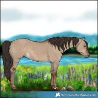 Horse Color:Liver Red Dun Rabicano 