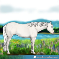 Horse Color:Cremello Dun 