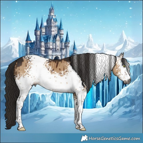Horse Color:Gray White Spotted Liver Red Dun Brindle 