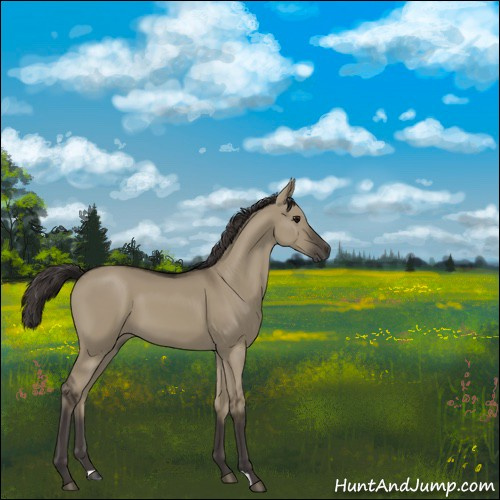 Horse Color:Smoky Grullo 
