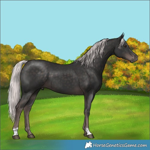 Horse Color:Platinum Liver Chestnut 