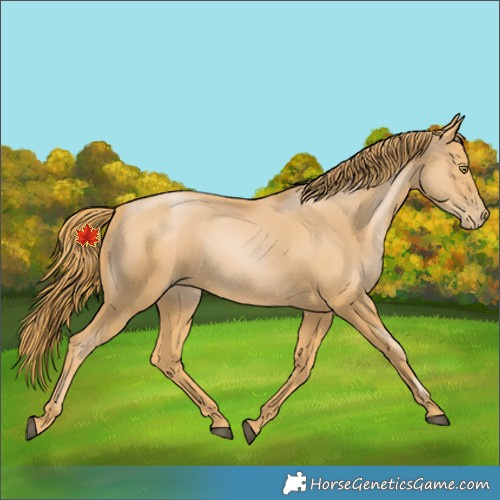 Horse Color:Chestnut Pearl 