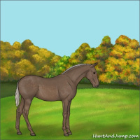 Horse Color:Silver Black 