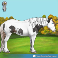 Horse Color:Liver Chestnut Sabino Splash Tobiano Rabicano 