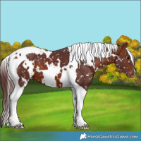 Horse Color:White Spotted Chocolate Bay Tobiano Snowflake Varnish 