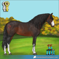 Horse Color:Brown 
