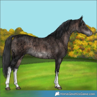 Horse Color:Platinum White Spotted Brown Ice 