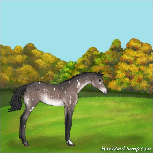 Horse Color:Platinum White Spotted Brown 