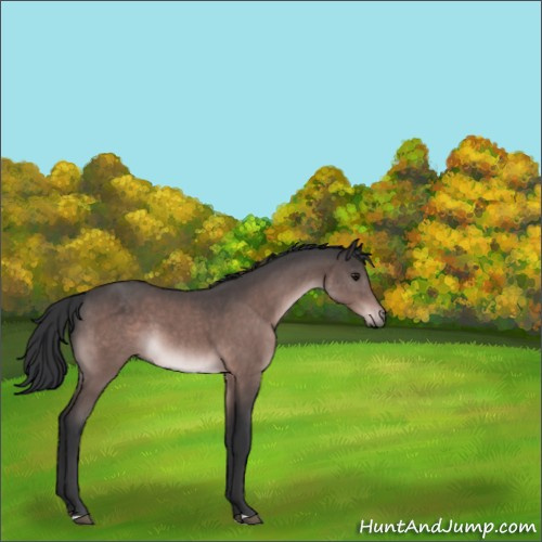 Horse Color:Platinum Bay 