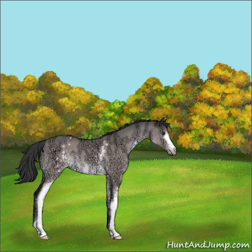 Horse Color:Platinum White Spotted Brown Ice Dun 