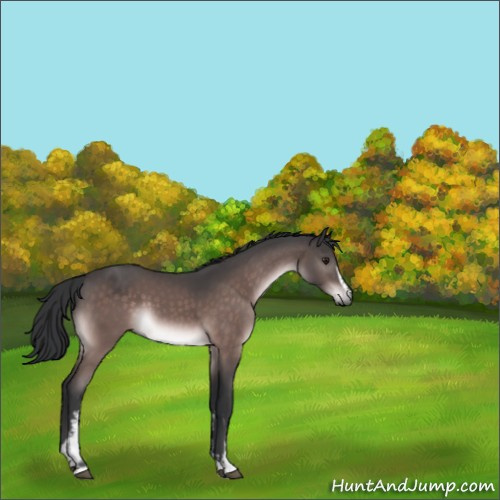 Horse Color:Platinum White Spotted Brown 