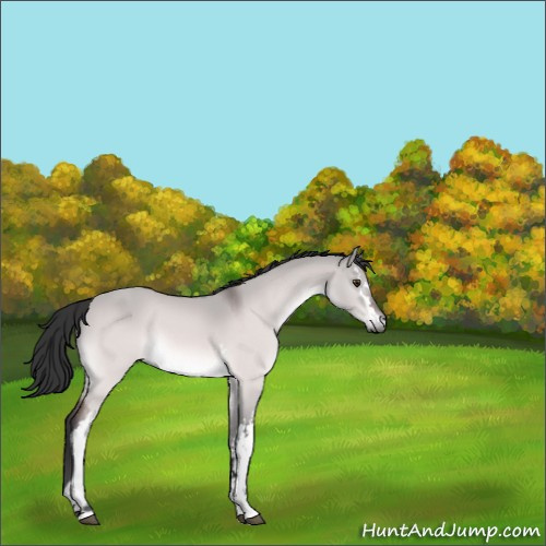 Horse Color:Platinum White Spotted Bay Dun 
