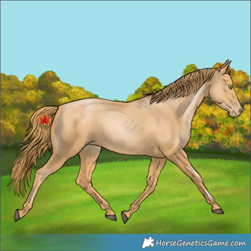 Horse Color:Chestnut Pearl 