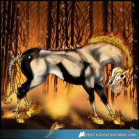 Horse Color:Void Palomino Onyx Tobiano 