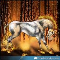 Horse Color:Buckskin Dun Tobiano 