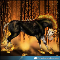 Horse Color:Void Bay Onyx Sabino