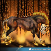 Horse Color:Gray Bay Rabicano 